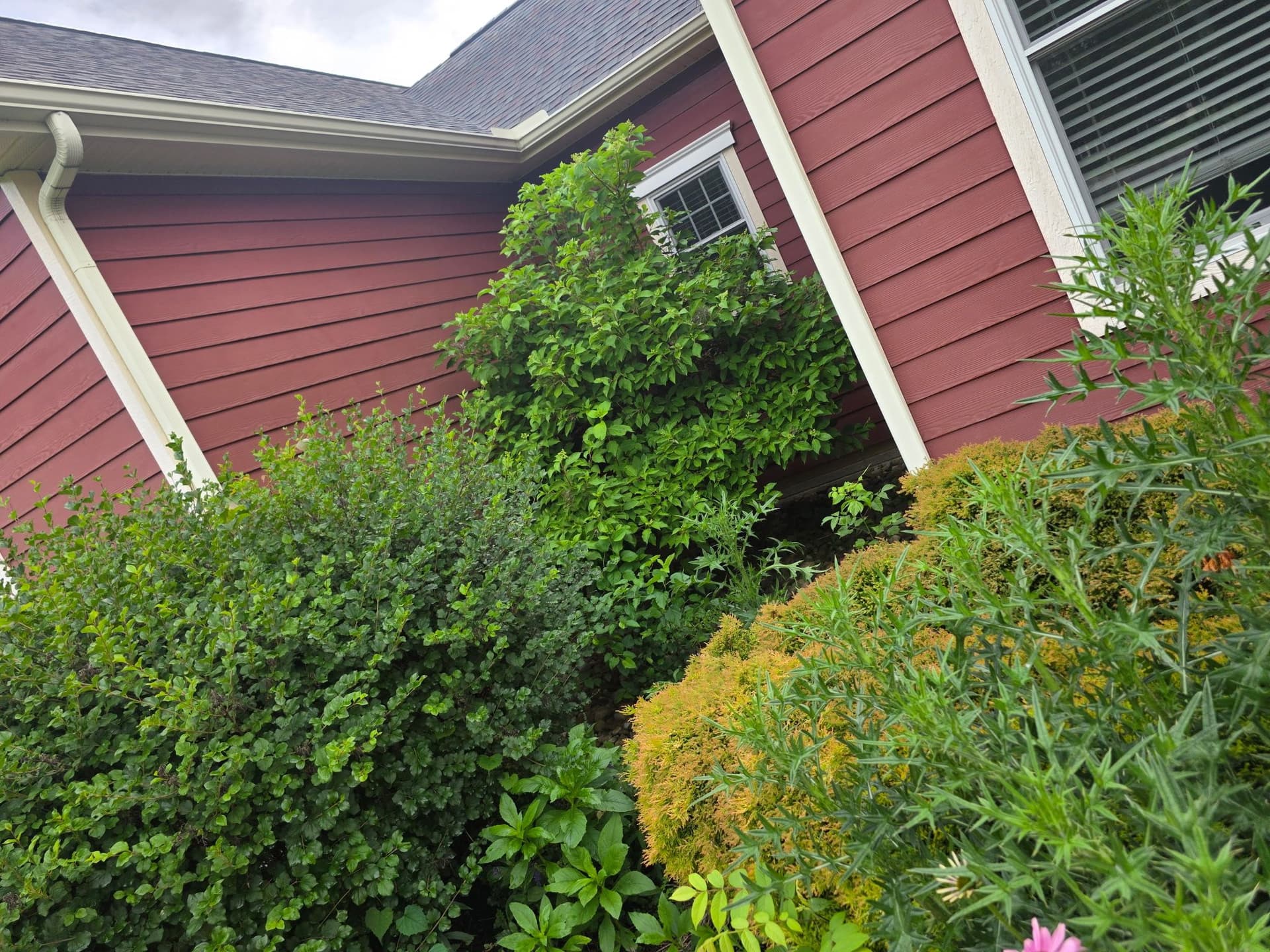Front Yard Cleanup and 60-Ft Railroad Tie Retaining Wall Build