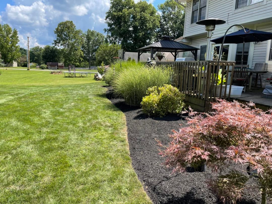 Lush green lawn with landscaping features and a wooden deck under a clear blue sky.