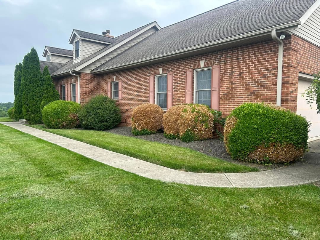 Brick house with well-manicured lawn and shrubs, lined pathway leading to the entrance.