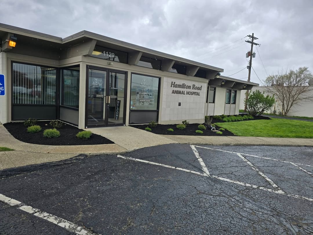 Hamilton Road Animal Hospital exterior featuring a modern design and landscaped entrance.