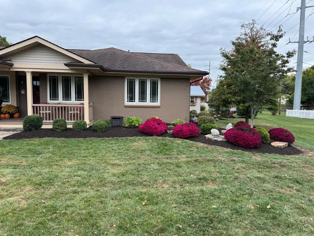 Colorful flower beds with vibrant pink mums in a residential landscape design. Green lawn and cloudy sky.