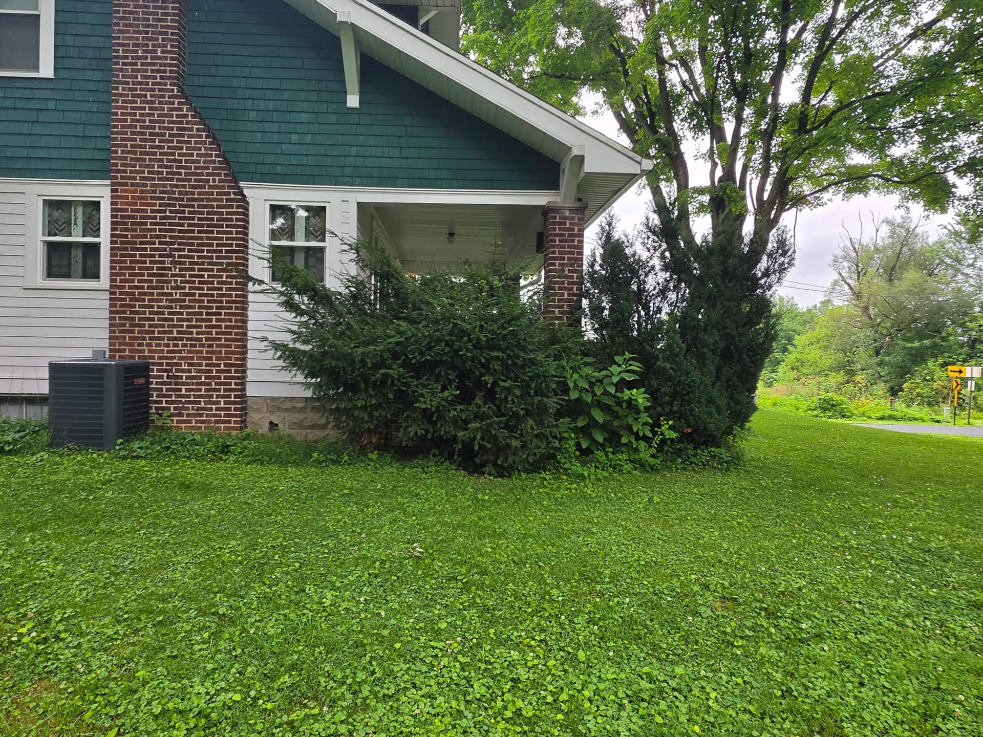 Gallery photos for Overgrown Shrub Removal and Low-Maintenance Landscape Install: Image #8