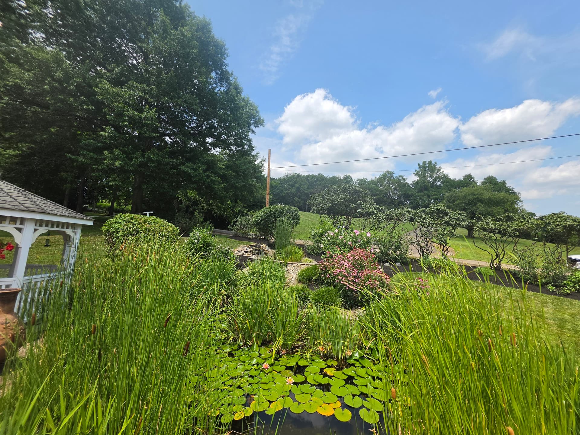 Flower Bed Cleanup and Fresh Mulch in Bremen image