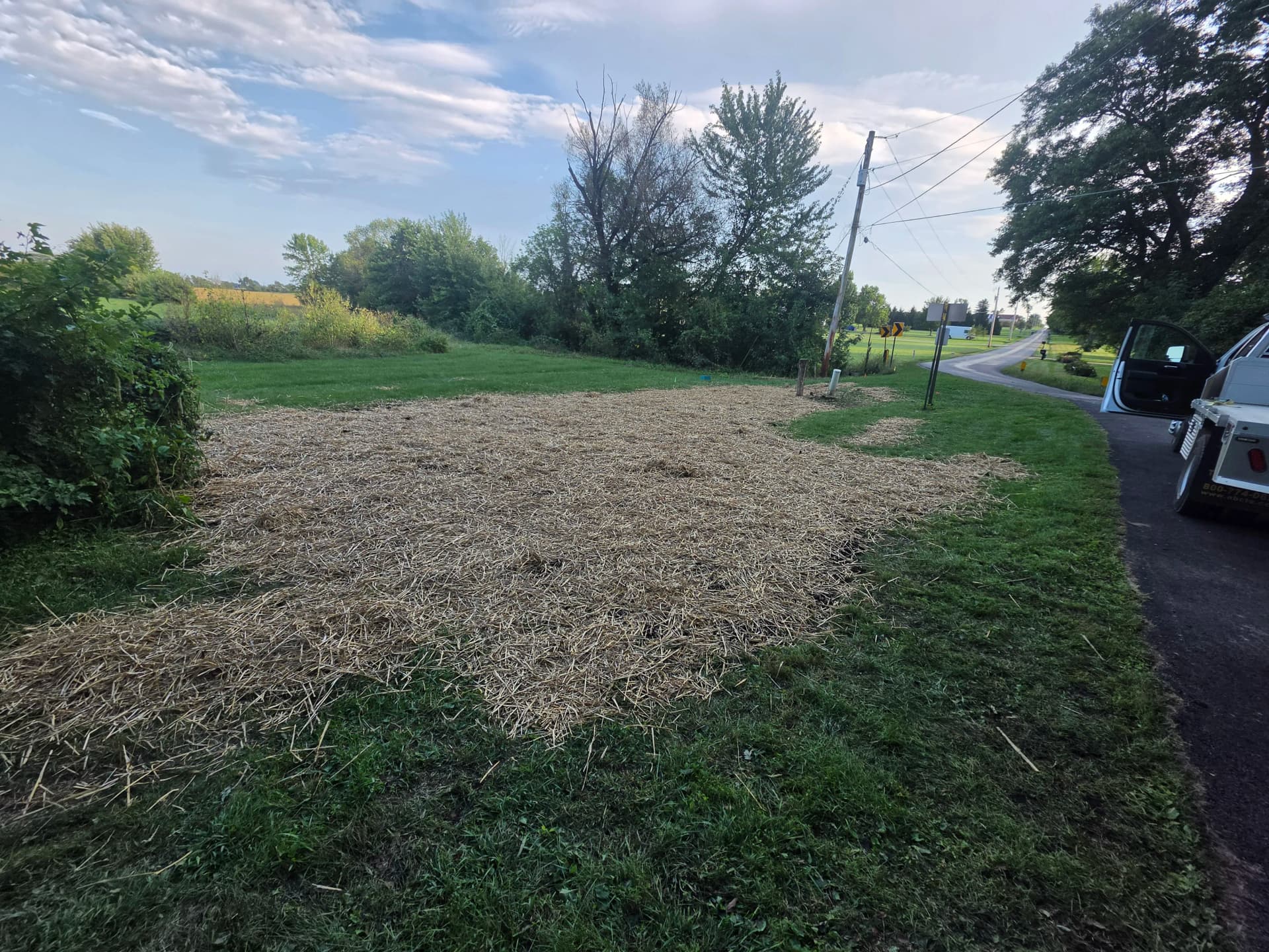 Overgrown Shrub Removal and Low-Maintenance Landscape Install image