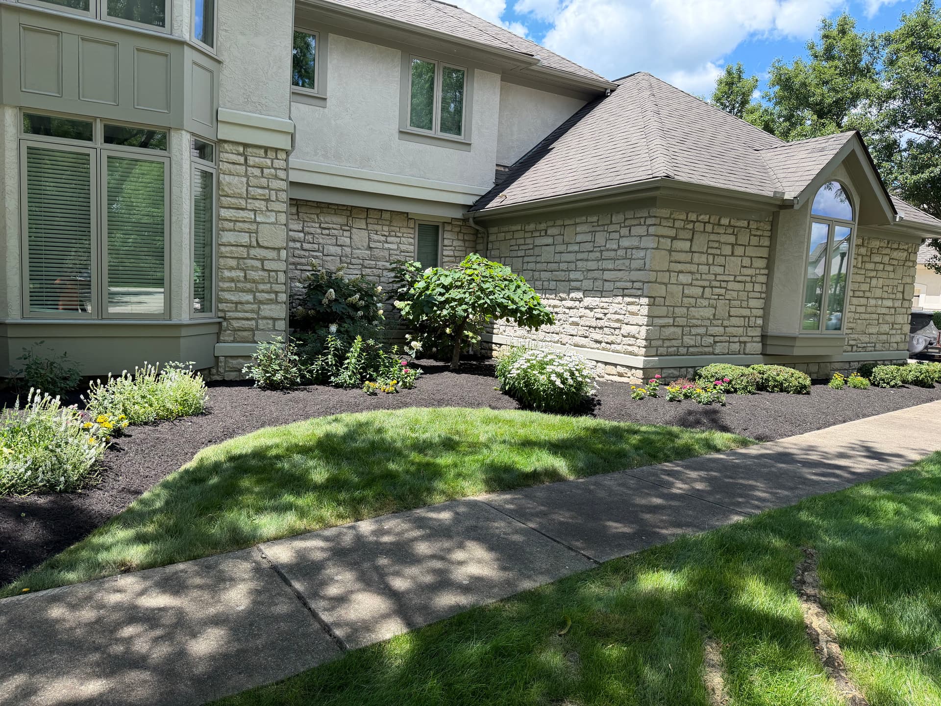Gallery photos for Bed Cleanup, Shrub Pruning, and Black Mulch Install in Blacklick Ohio: Image #4