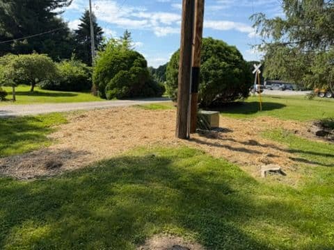 Lawn Restoration After Construction Damage Done Right