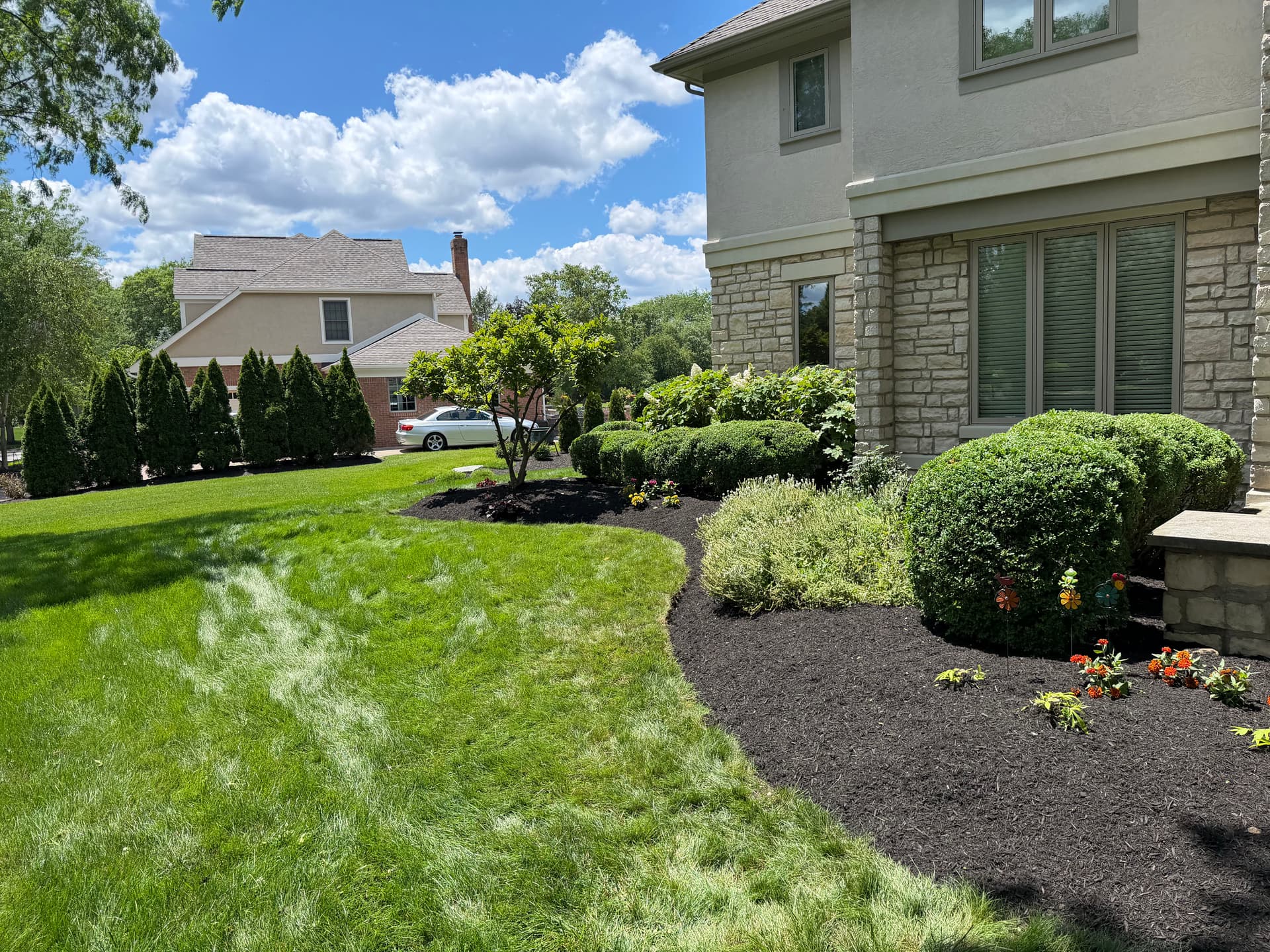 Gallery photos for Bed Cleanup, Shrub Pruning, and Black Mulch Install in Blacklick Ohio: Image #3