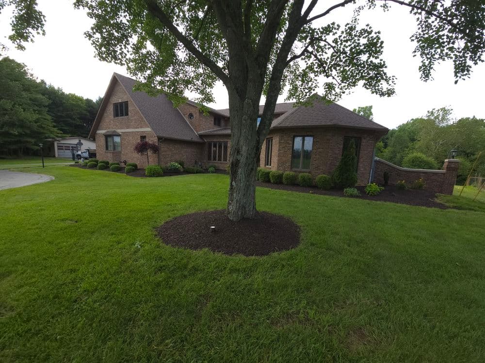 Spacious brick home with landscaped yard and mature tree in tranquil suburban setting.