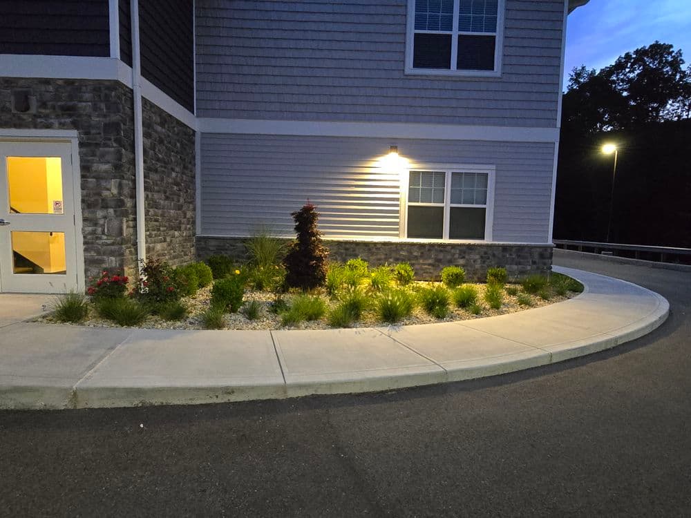 Landscape design with shrubs and flowers near a building entrance, illuminated at dusk.