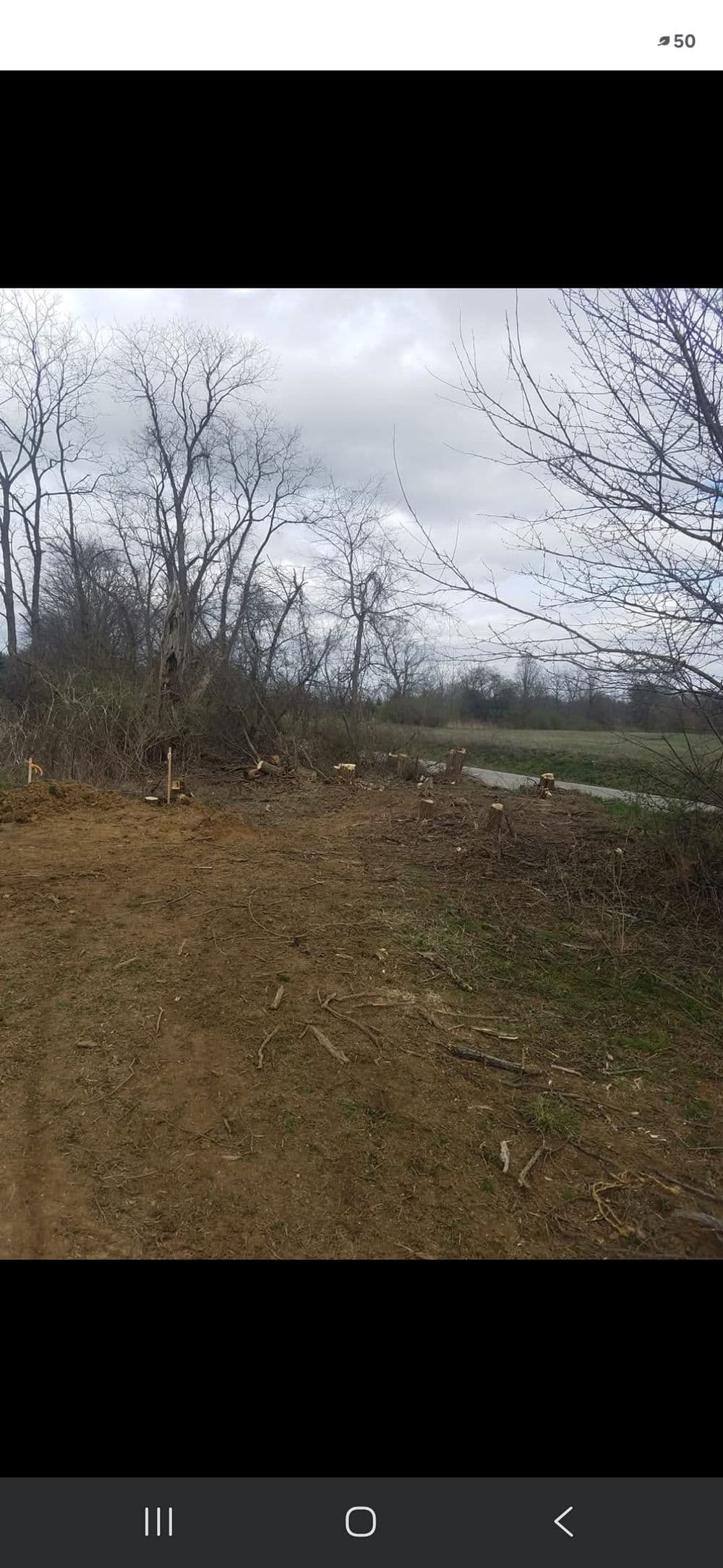 Cleared land near a river with bare trees and overcast sky, indicating deforestation.