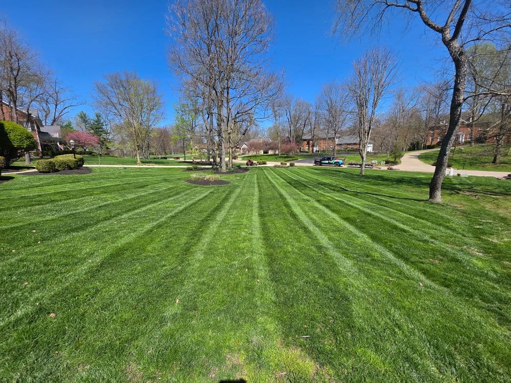 Lush green lawn with freshly mowed striped patterns and clear blue sky.