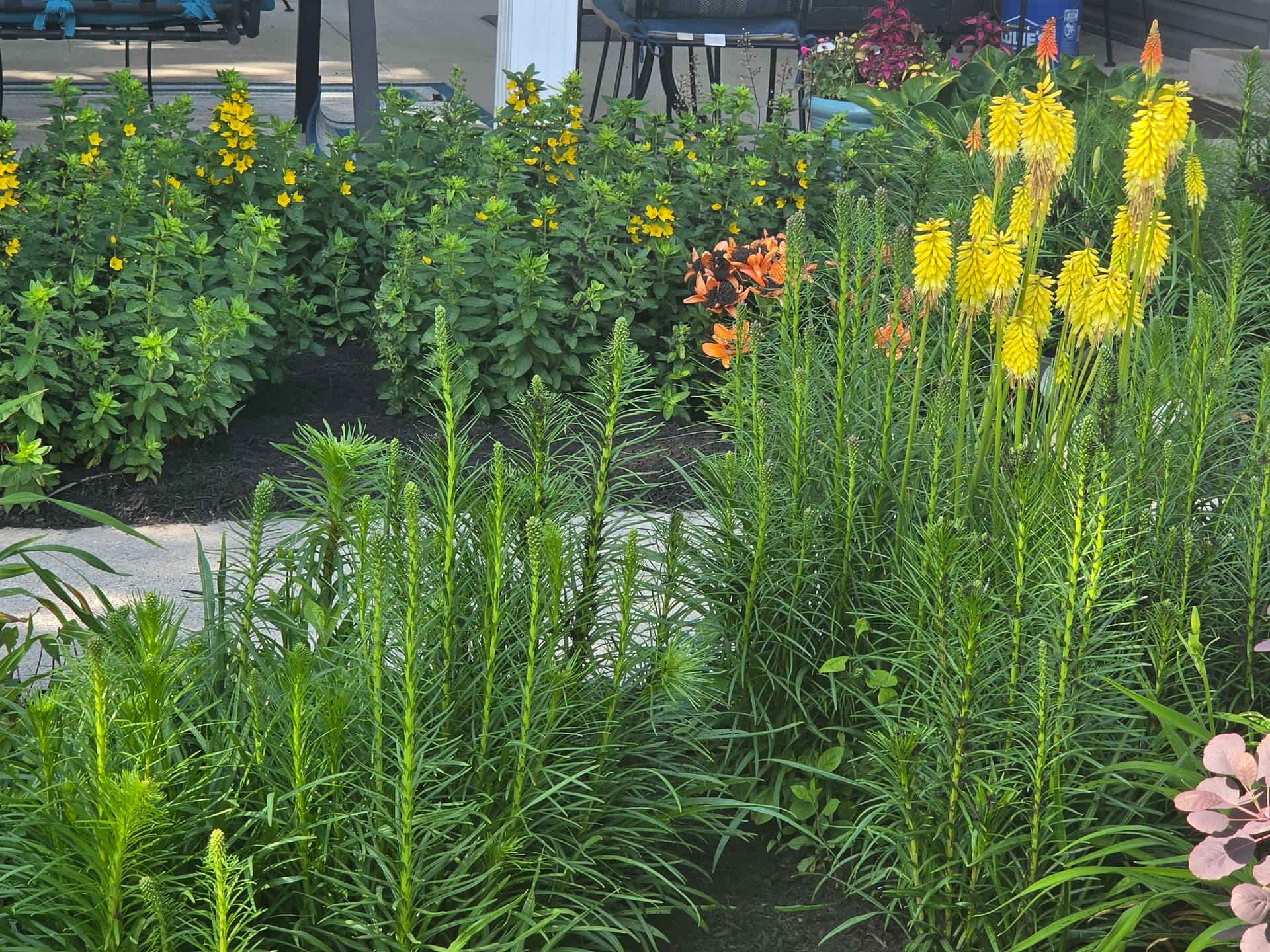Gallery photos for Fresh Mulch and Clean Beds Keep This Landscape Looking Sharp: Image #2